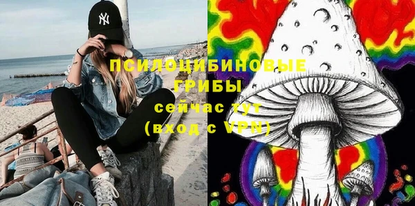 таблы Каменка