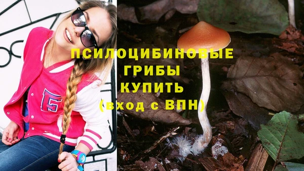 таблы Каменка