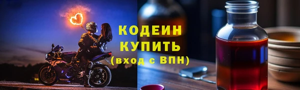 стаф Каменногорск