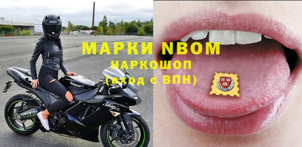 стаф Каменногорск