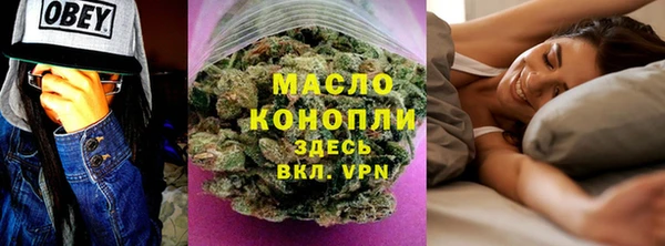 стаф Каменногорск