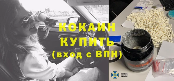 стаф Каменногорск