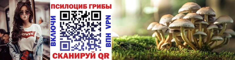 Купить  Кореновск  Псилоцибиновые грибы мухоморы 